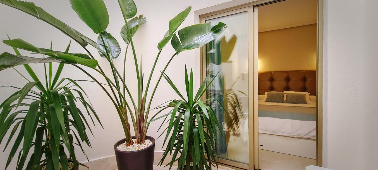 El Ancla Apartment *